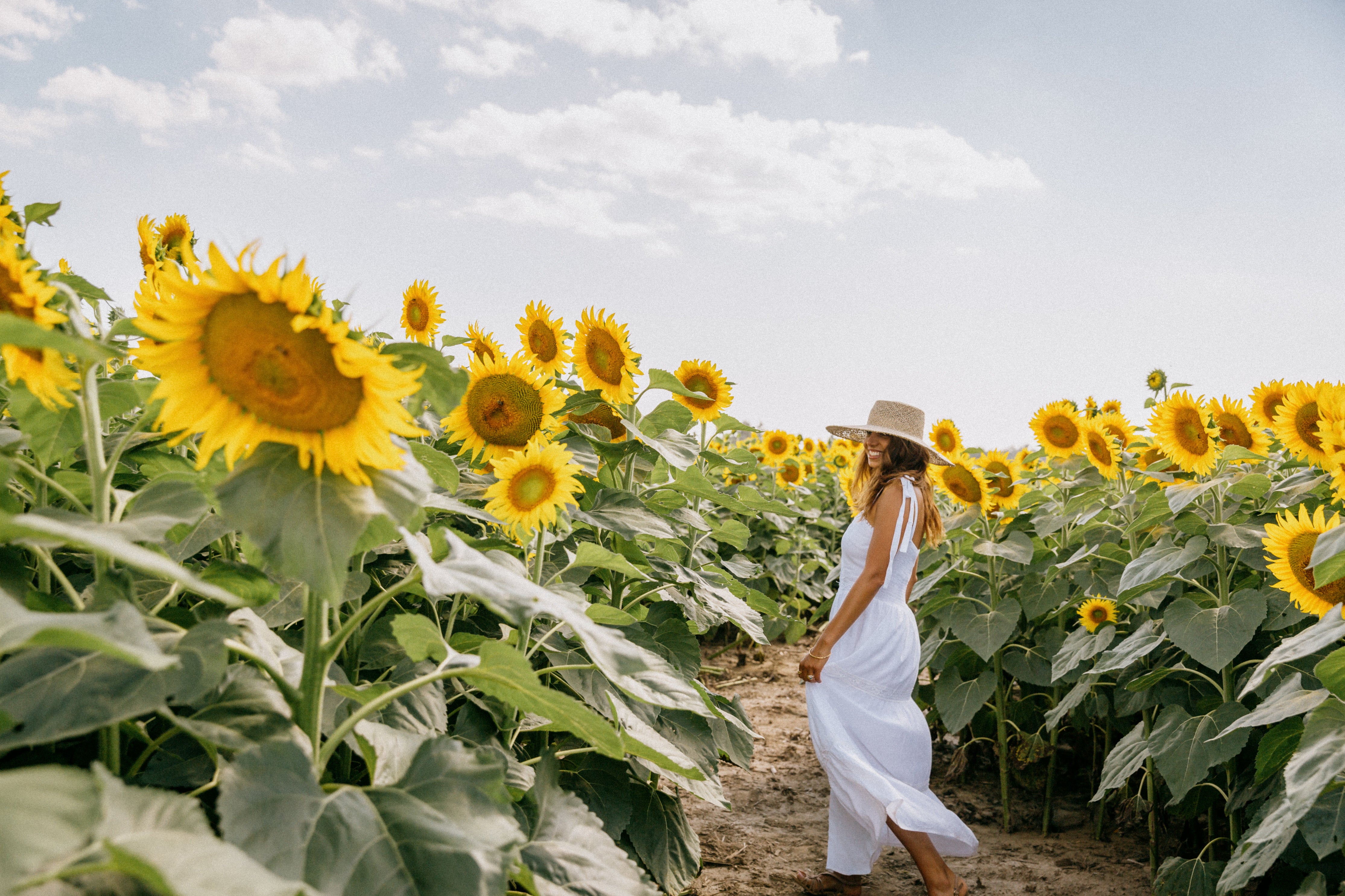 http://rosecreeksuds.com/cdn/shop/files/woman-smiles-as-she-stands-in-a-sunflower-field_717c0b3b-59d4-4afe-aac4-12a6563b5baa.jpg?v=1663604667